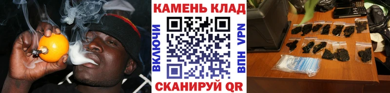 Гашиш Cannabis  Жуков 