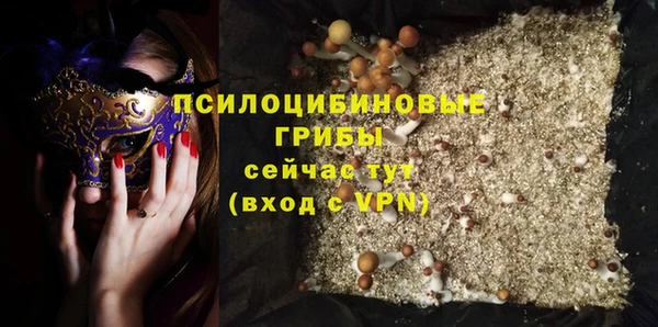 скорость Алзамай