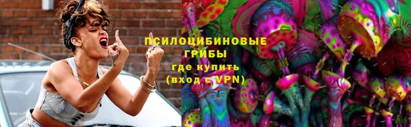 гашик Алексеевка