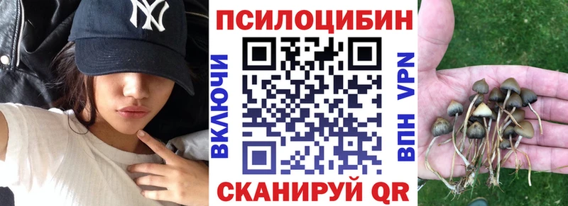 купить наркотик  Жуков  Псилоцибиновые грибы прущие грибы 